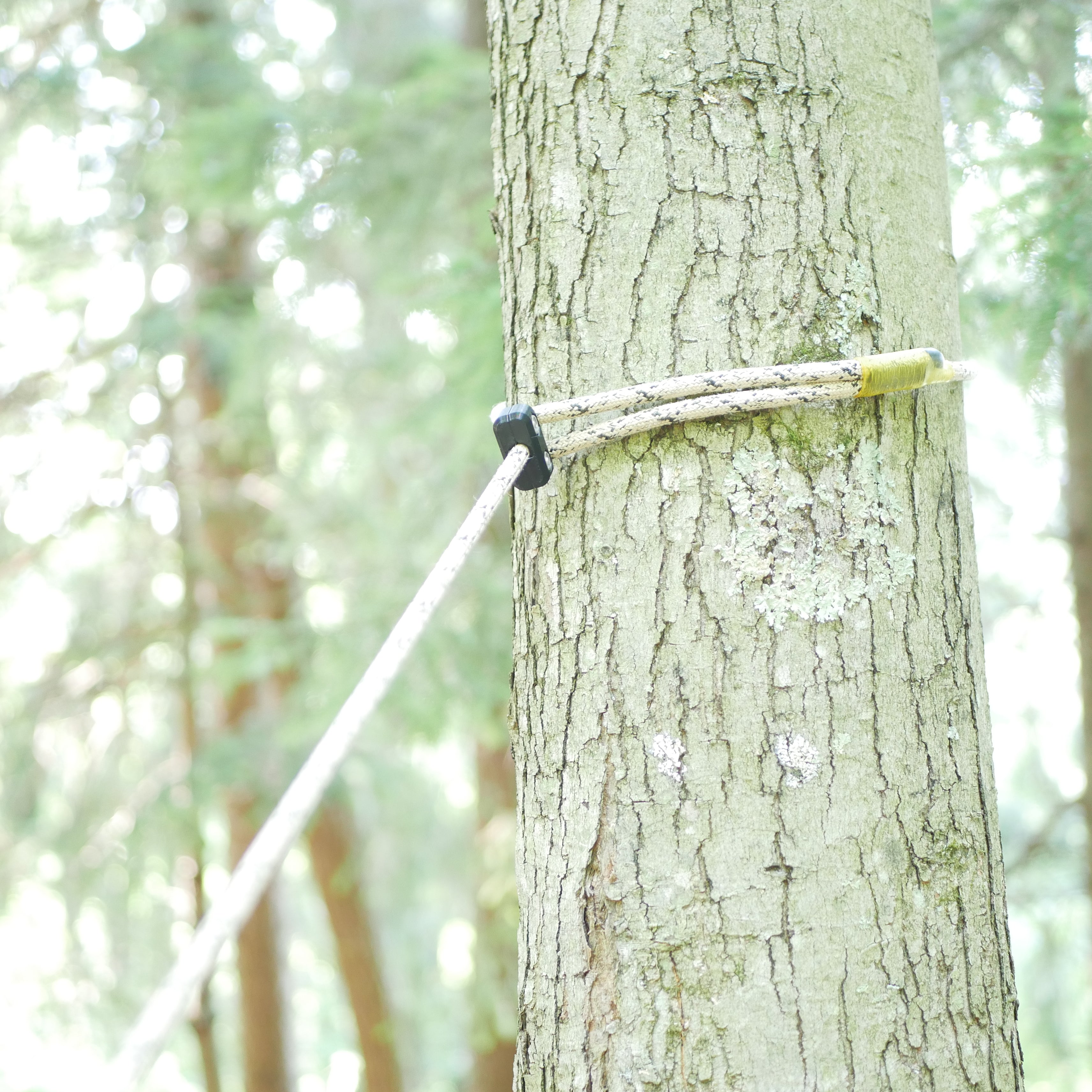 The Fixed Tether Locker