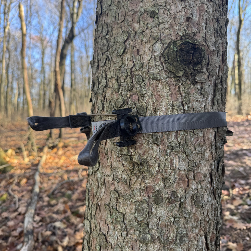 Cam Buckle Strap Preset