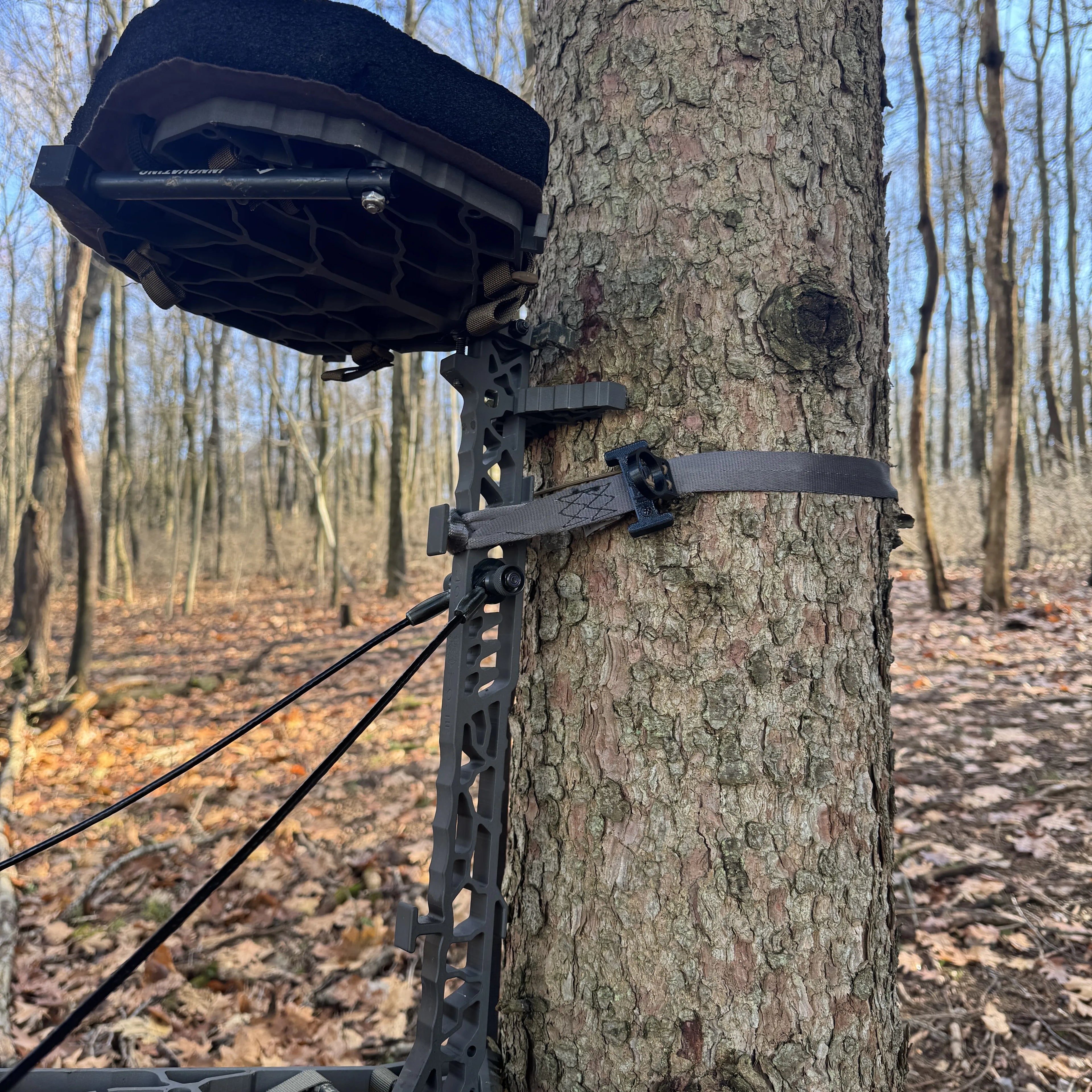 Cam Buckle Strap Preset