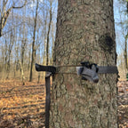 Cam Buckle Strap Preset