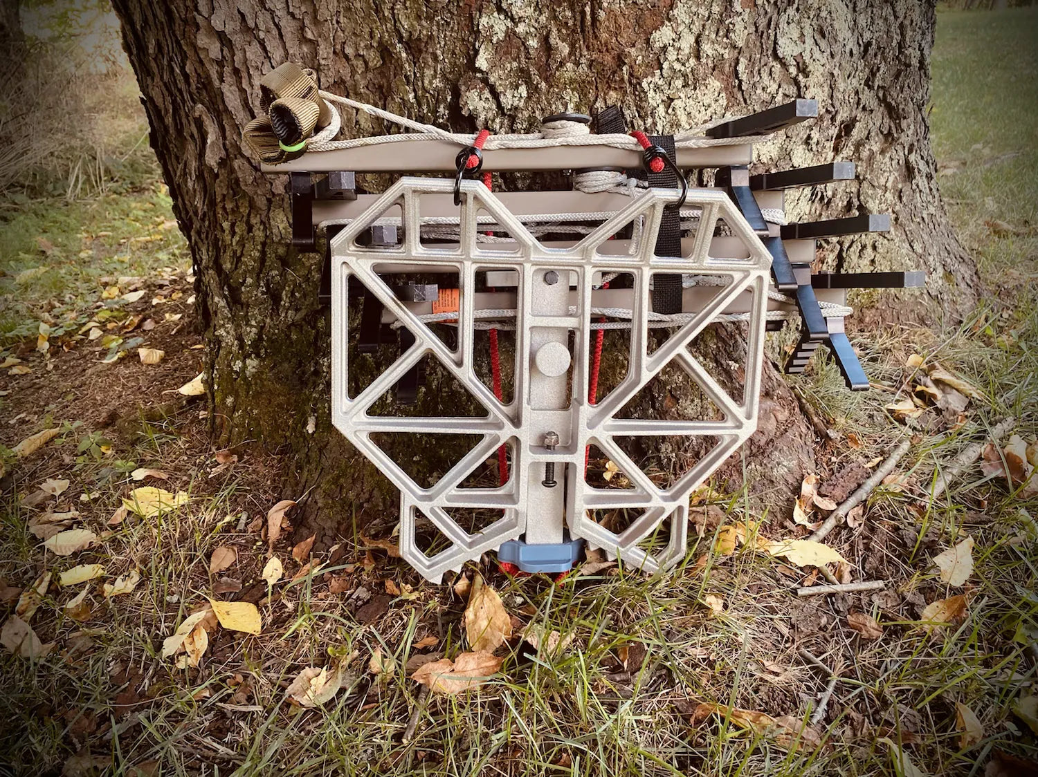 Cruzr Seeker Bungee System