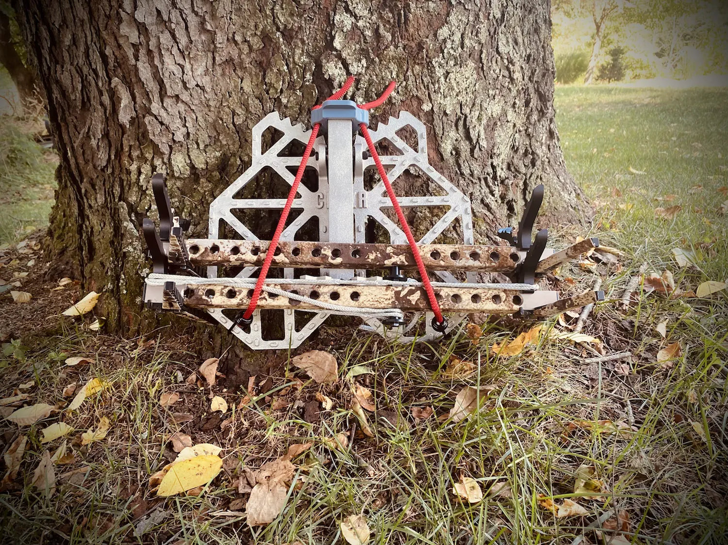 Cruzr Seeker Bungee System