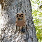 Screw-In Trail Cam Mount
