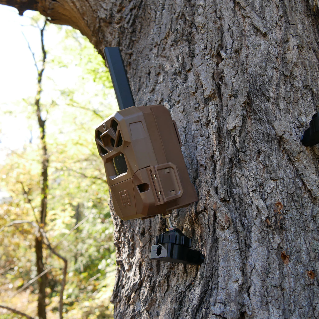 Screw-In Trail Cam Mount